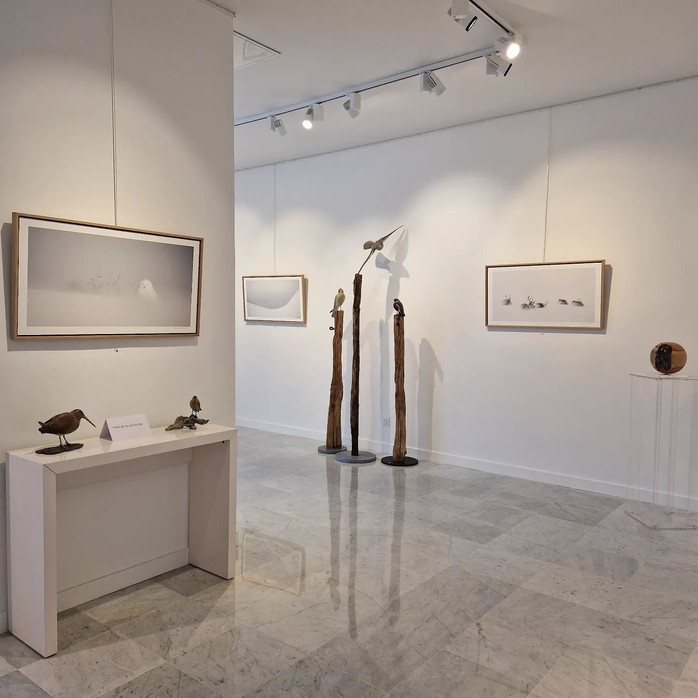 Exposition - "Terre Sauvage" du 14 janvier au 18 février 2023.
#art2023 #grenobleart #artgalery #artlovers #artgrenoble #galerieventdescimes #artwork #sculpture #paintings #photography
