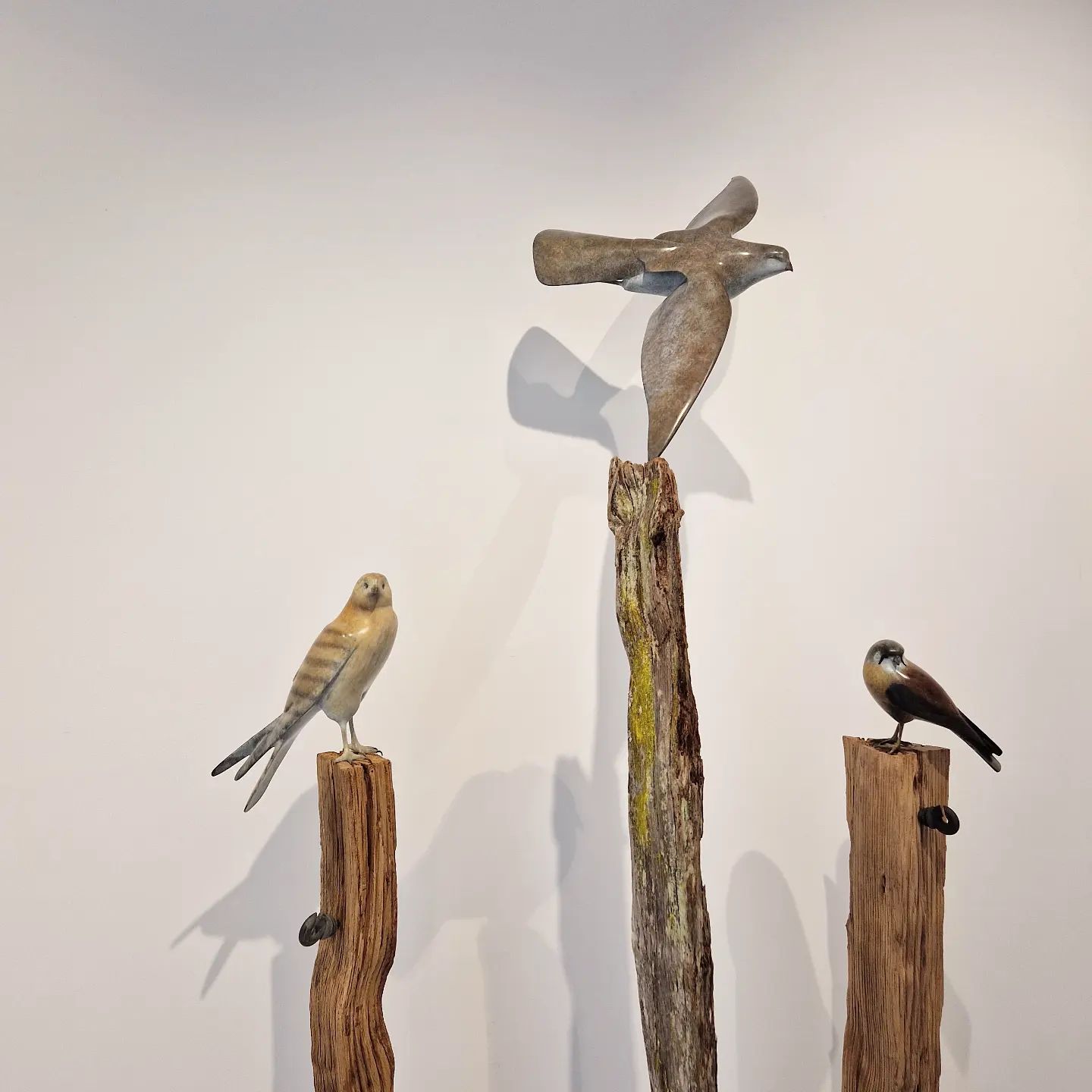 "L’oiseau est symbole de liberté" - Mark Dedrie 🕊️
- Exposition Terre Sauvage à découvrir jusqu'au 18 février 2023.
#markdedrie #bronze #bird #sculpture #art #artcontemporain #terresauvage #expogrenoble #grenoblelife #wildlife