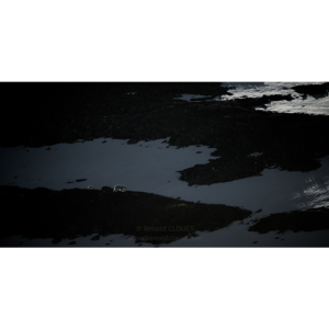 Les marcheurs du crépuscule