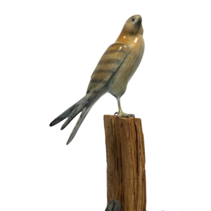 Faucon crécerelle