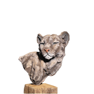 Buste de puma
