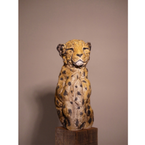 Guépard
