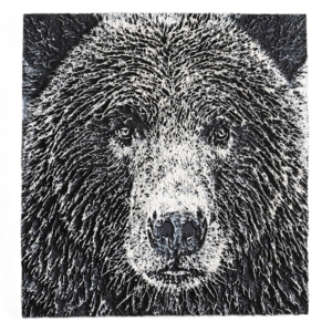 Ours I blanc