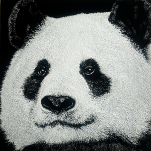 Panda I blanc