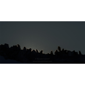 Sur la crête
