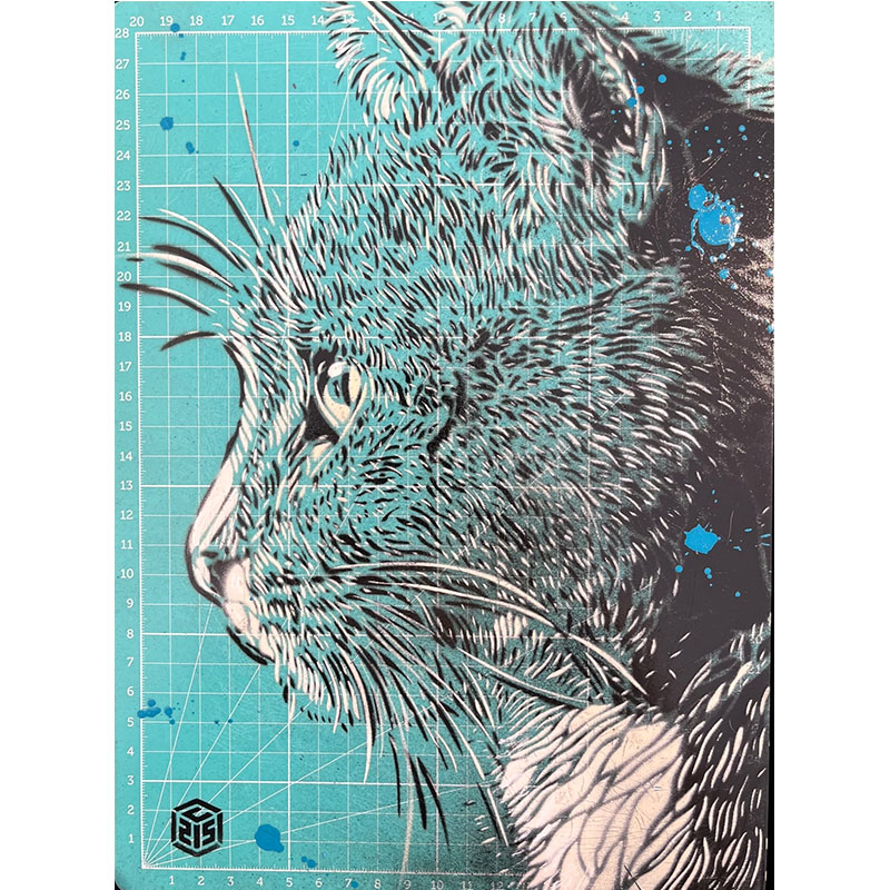 Chat "Meow"