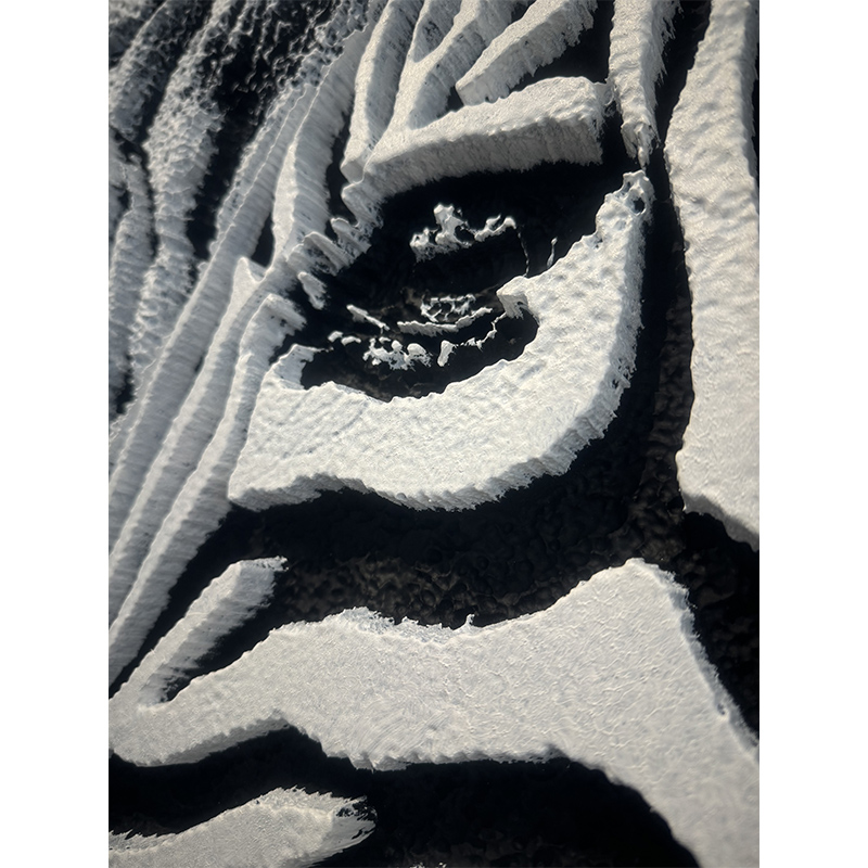 Zèbre II blanc – Image 2