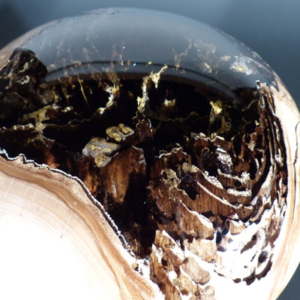 Boule #1183