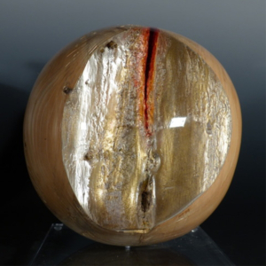 Boule #1396 "Une arbre"
