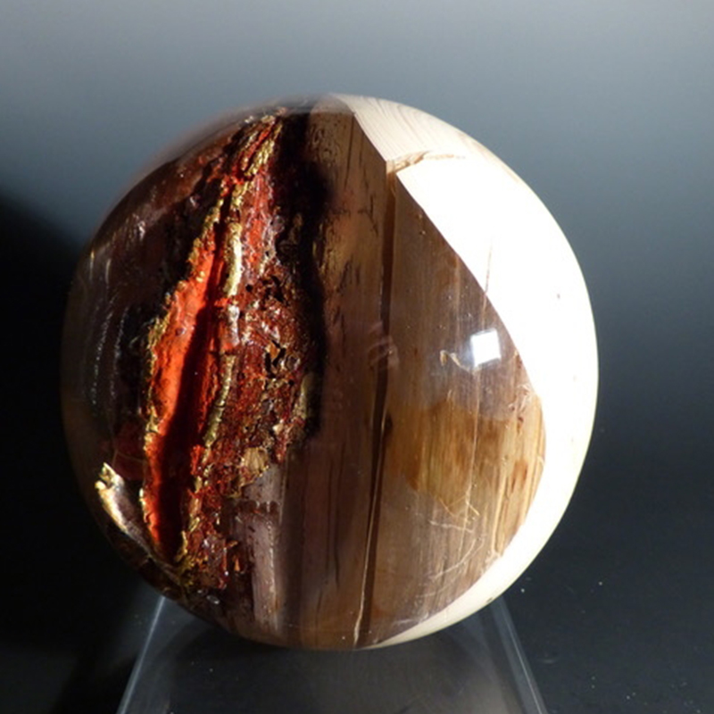 Boule #1528 "Une arbre"